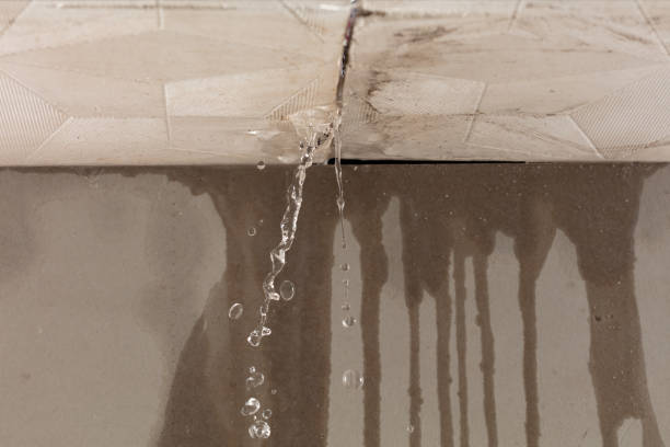 Professional Structural Drying technician working in Coral, MI